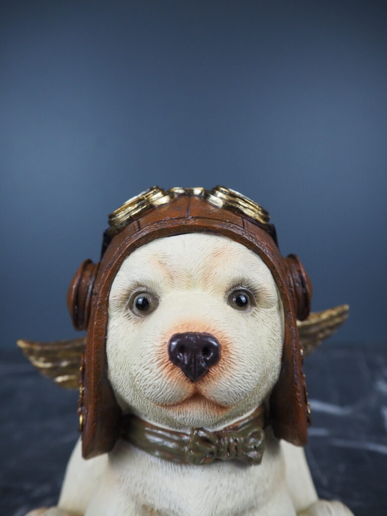 David Dog Pilot - Image 3