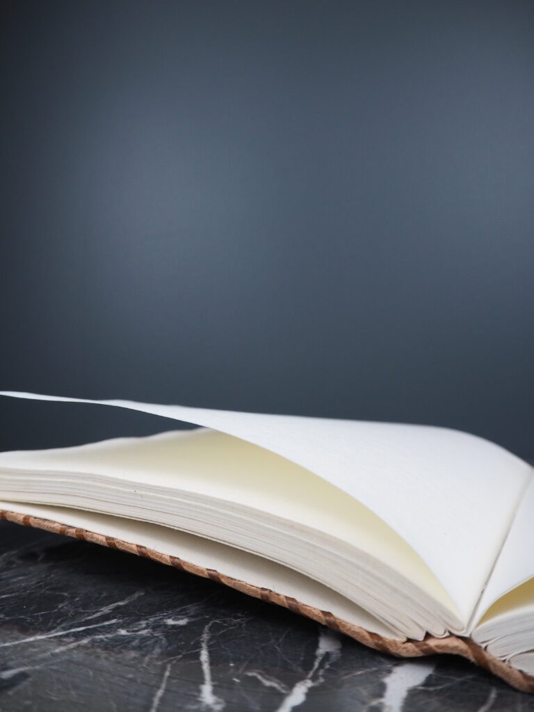 World map leather journal - Image 3