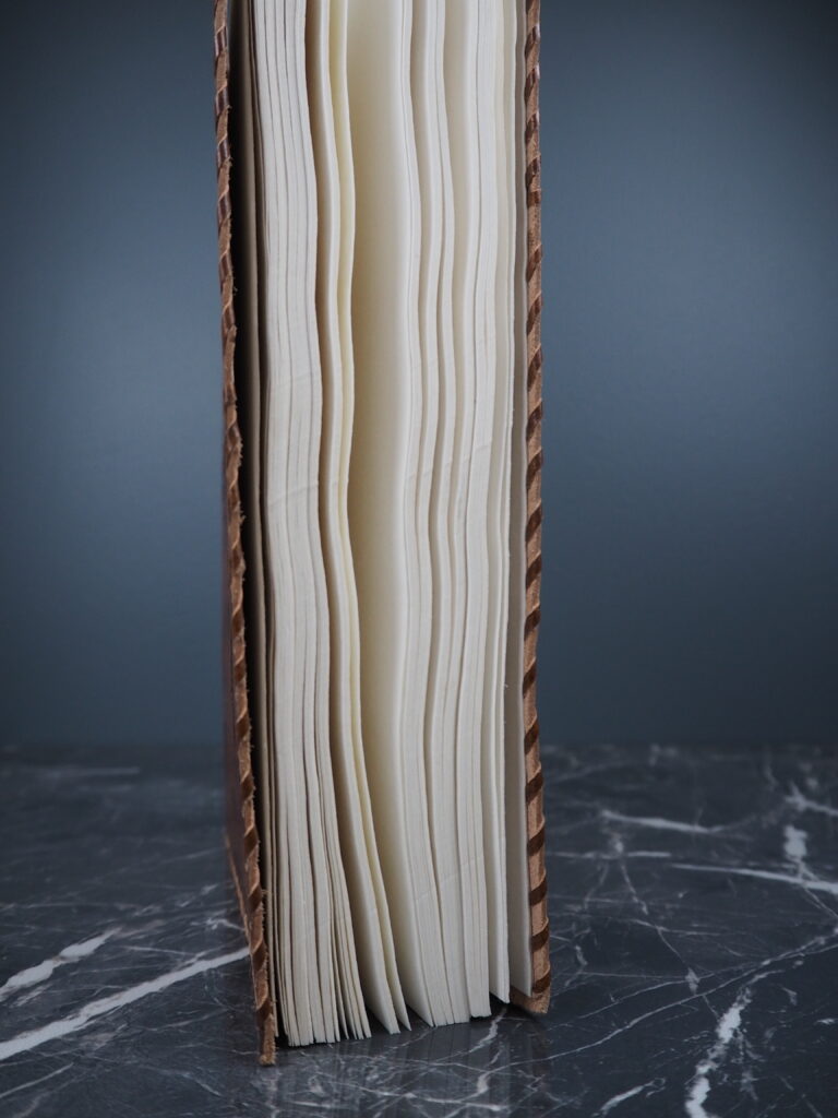World map leather journal - Image 4