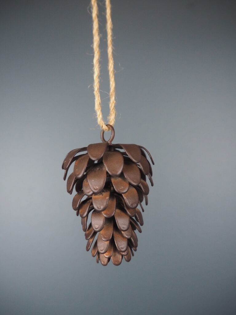Pinecone - Image 2