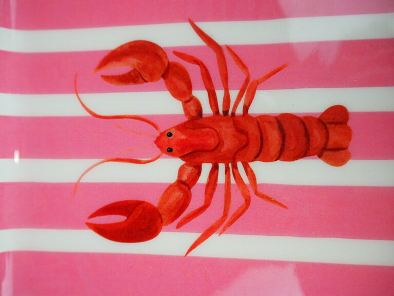 Tray w lobster - Image 5