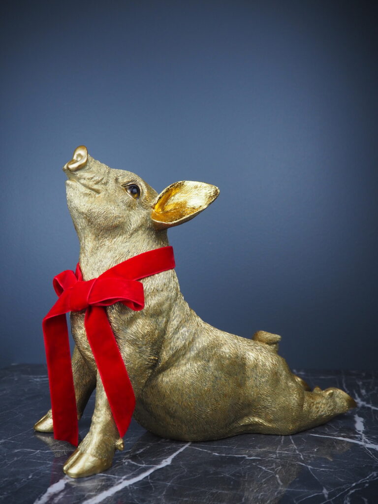 Pig