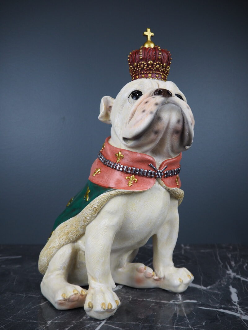 Prince puppy