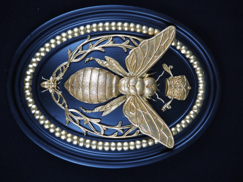 Bee on wall
