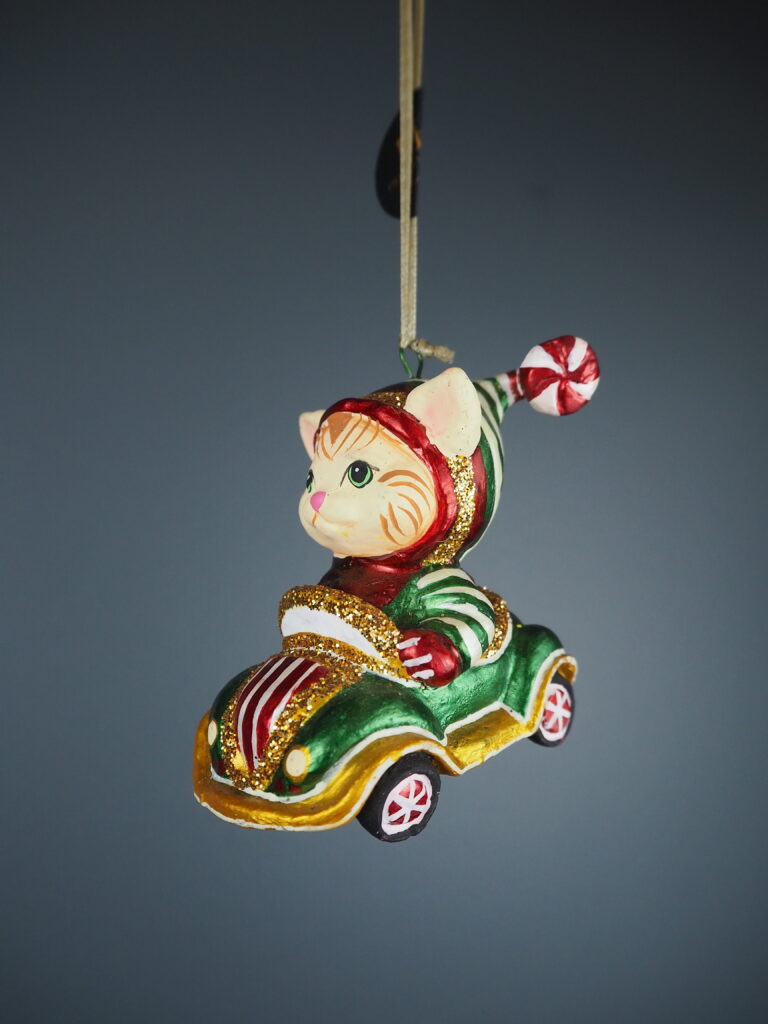 Xmas Cat in mini car red/green - Image 7