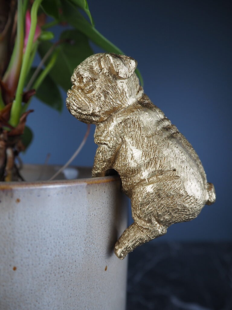Dog climbing gold - Image 2
