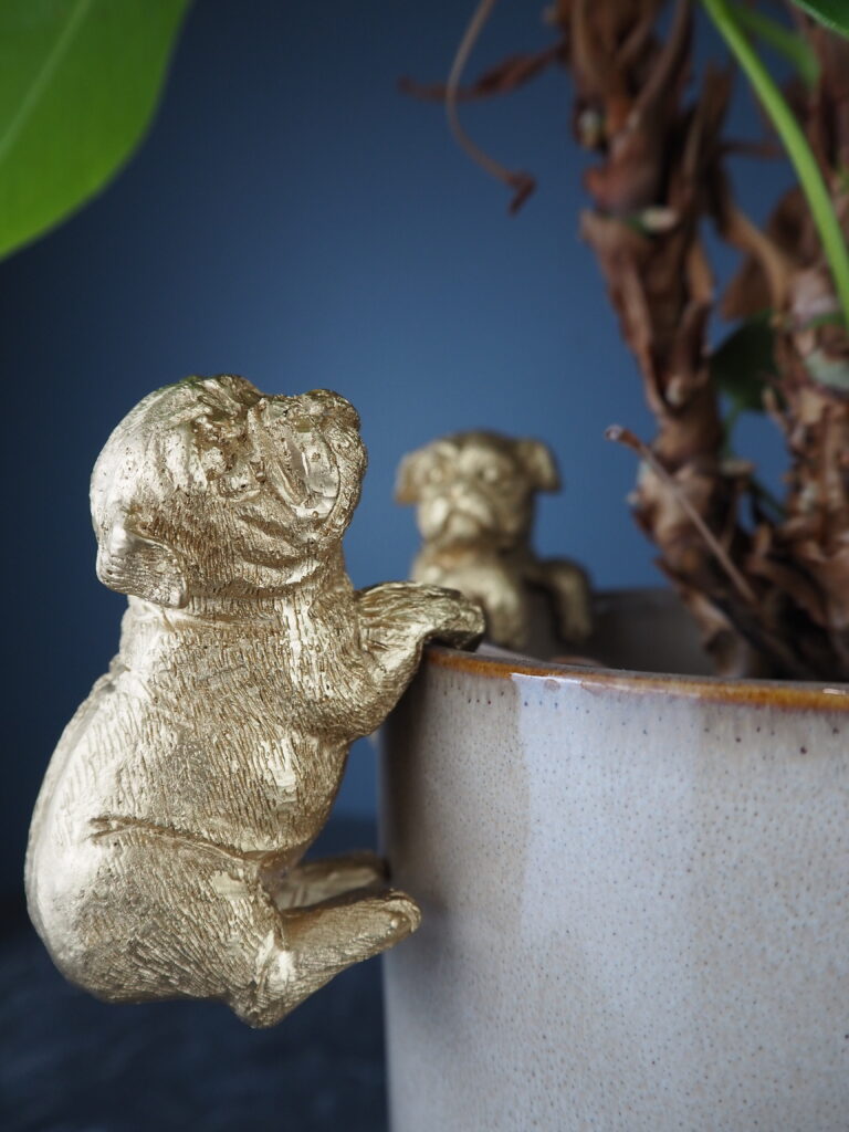 Dog climbing gold - Image 2
