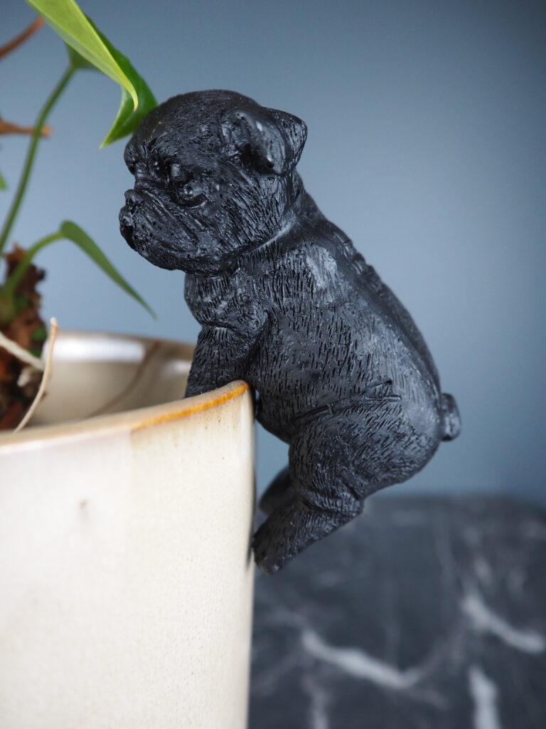 Dog climbing black - Image 2