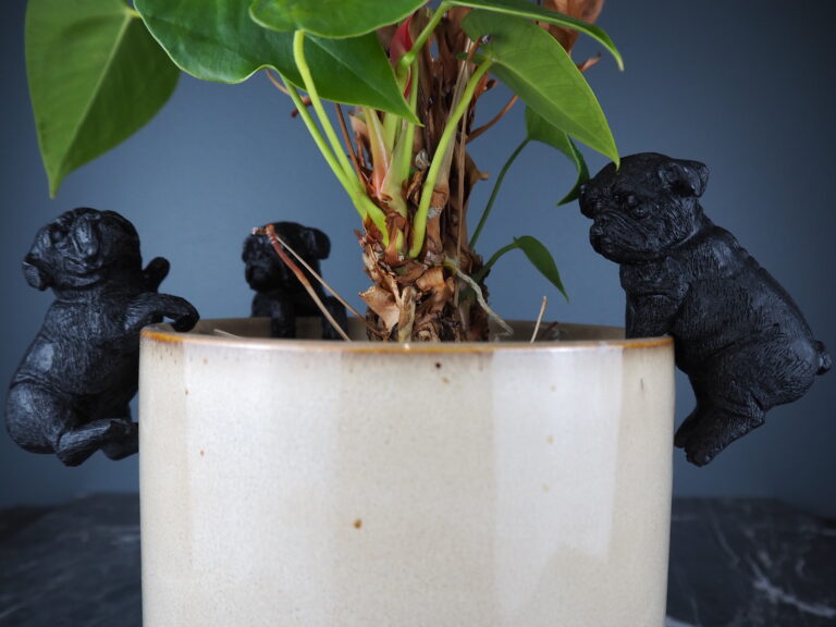 Dog climbing black - Image 3