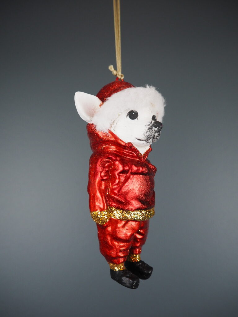 Lucky in closed jacket red orn