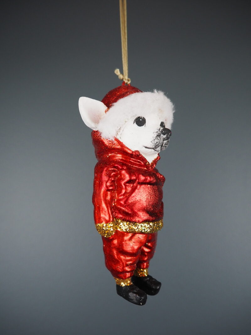 Lucky in closed jacket red orn