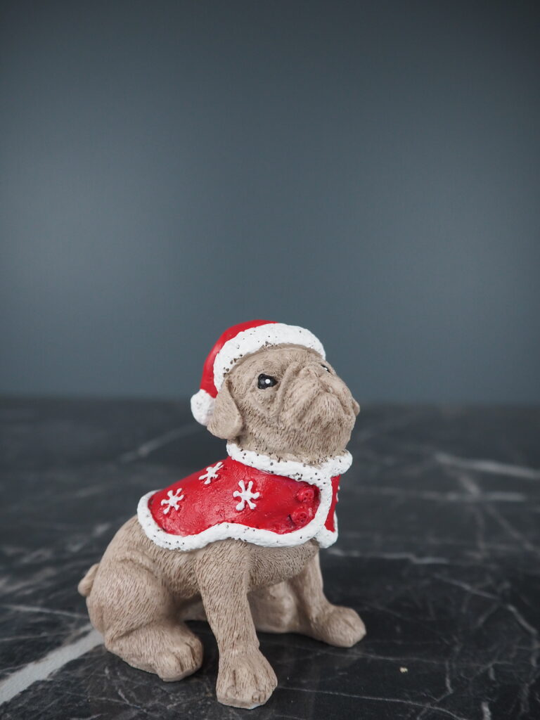 Santa dog