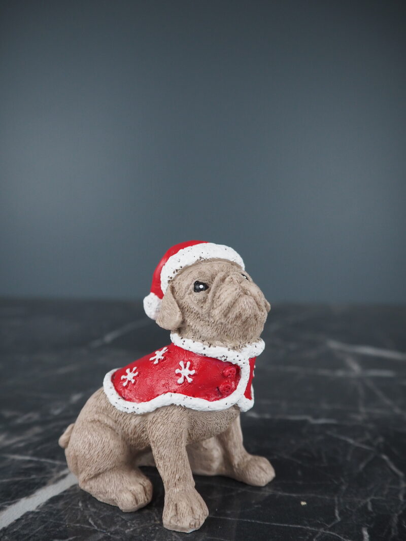 Santa dog
