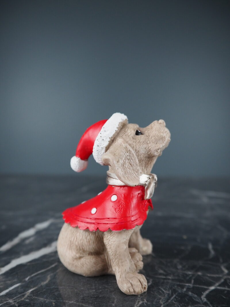 Santa dog
