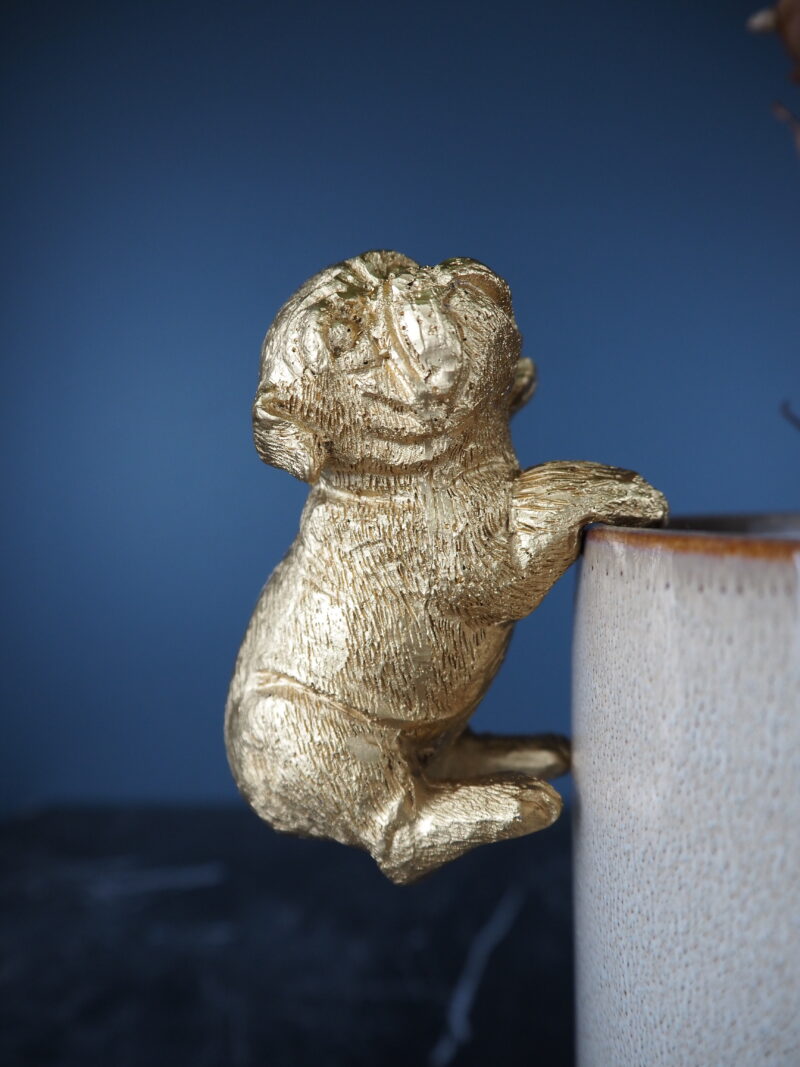 Dog climbing gold