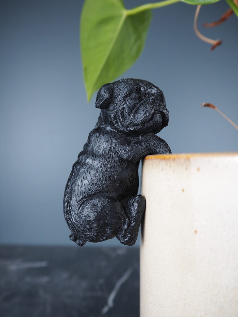 Dog climbing black